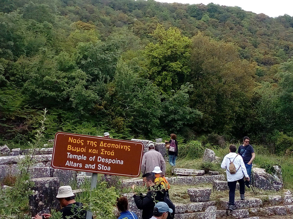 60032027_2189651944415460_7.jpg