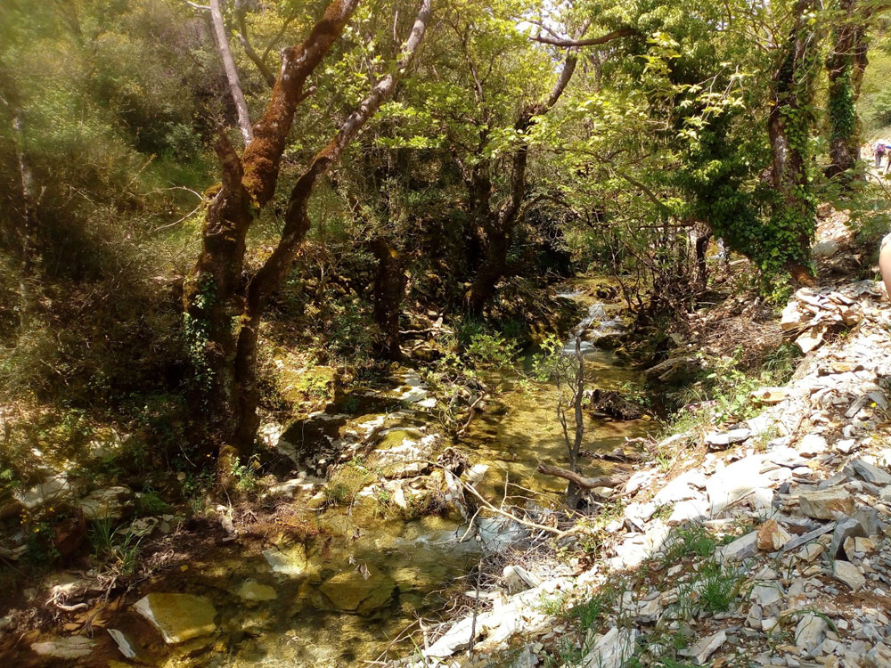 60338342_2189651061082215_4.jpg