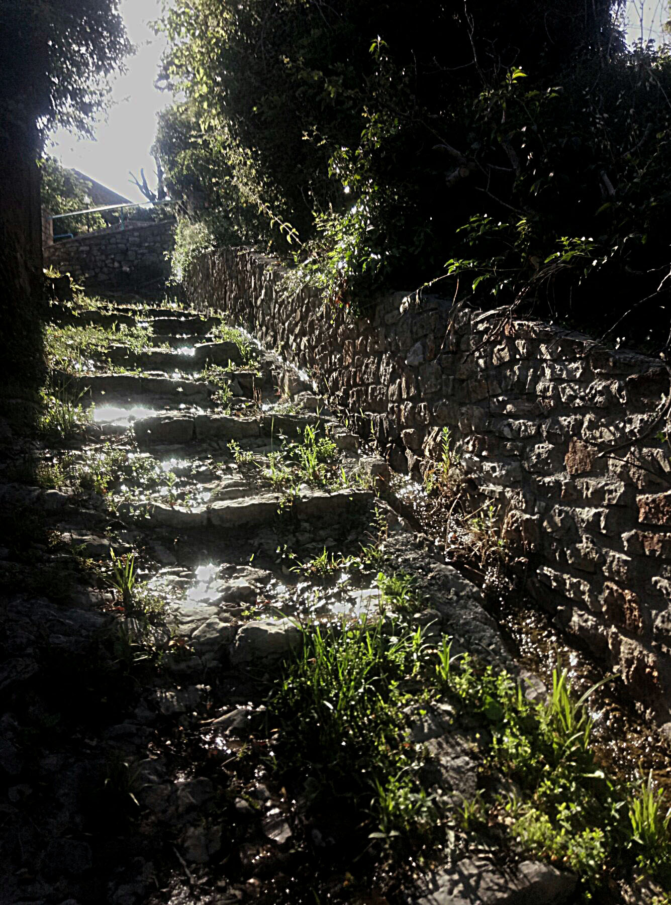 IMG-049c2c1714a9d8f46a4ae5696713ba8c-V.jpg