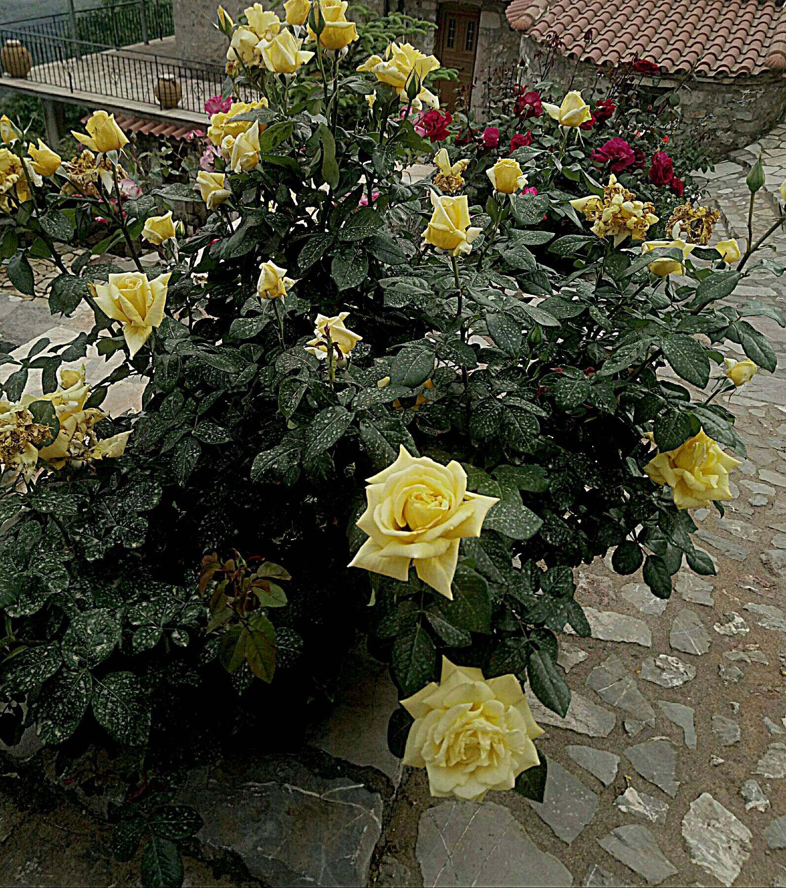 IMG-4f18e4e434c78e554d282ebd942ef7c3-V.jpg