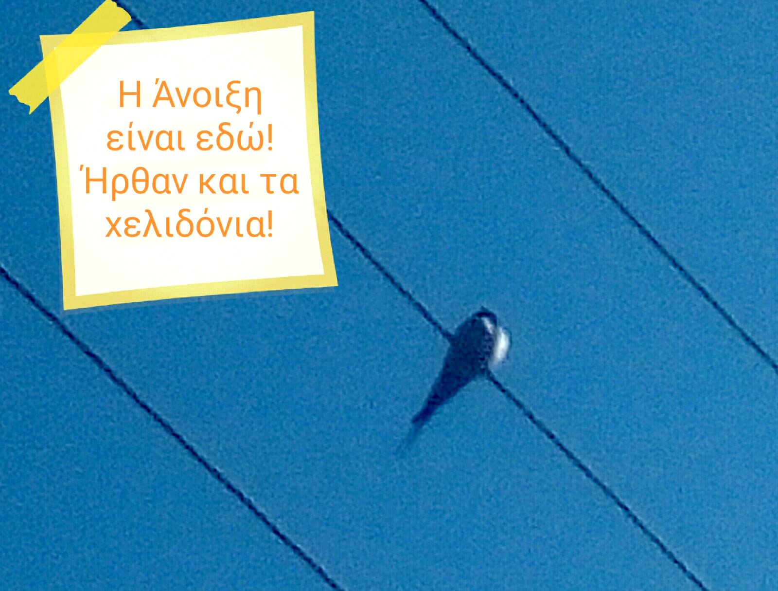 IMG-882feea25770adc82f9a61a3ed4c9605-V.jpg