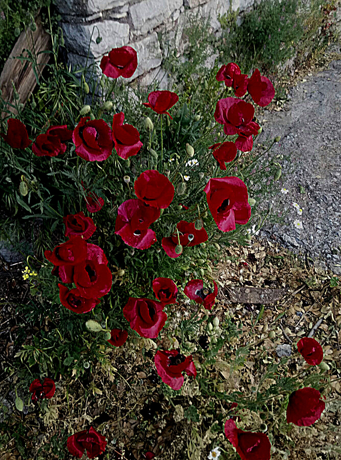 IMG-931a94ce3555fa815634e7cfef54f341-V.jpg