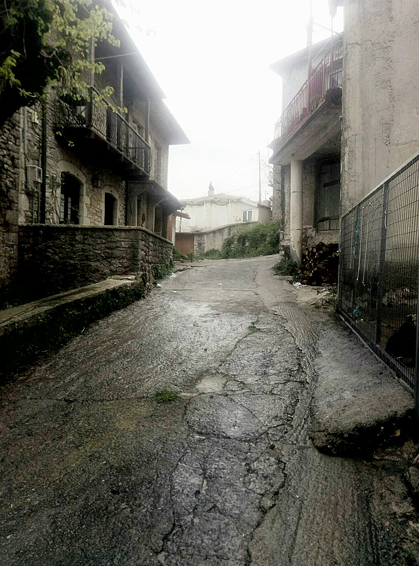 IMG-a0bf242ce5d8f1b2b6c0b2c8a2661b2e-V.jpg