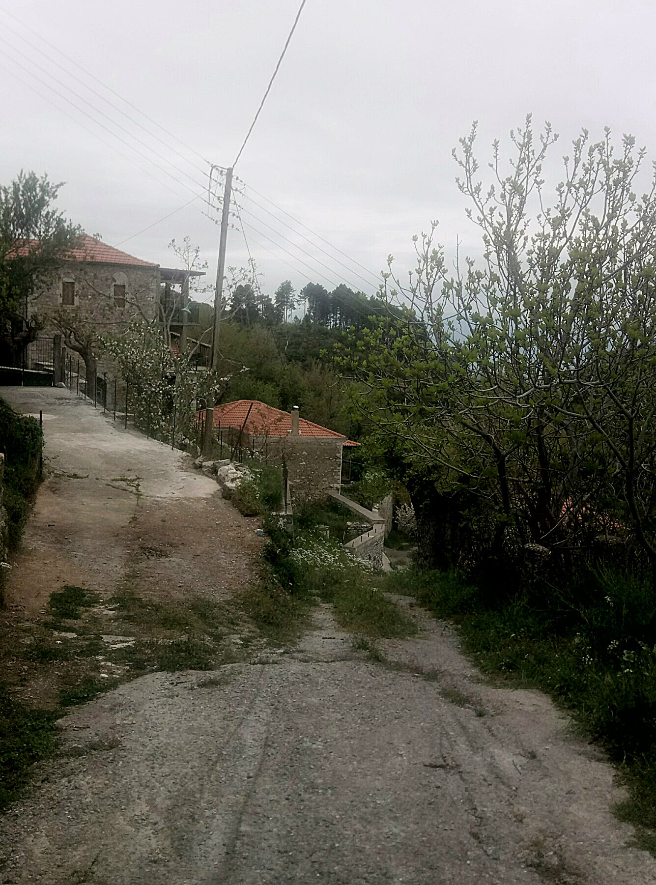 IMG-b1139ac57560882dada98fcaa7324158-V.jpg