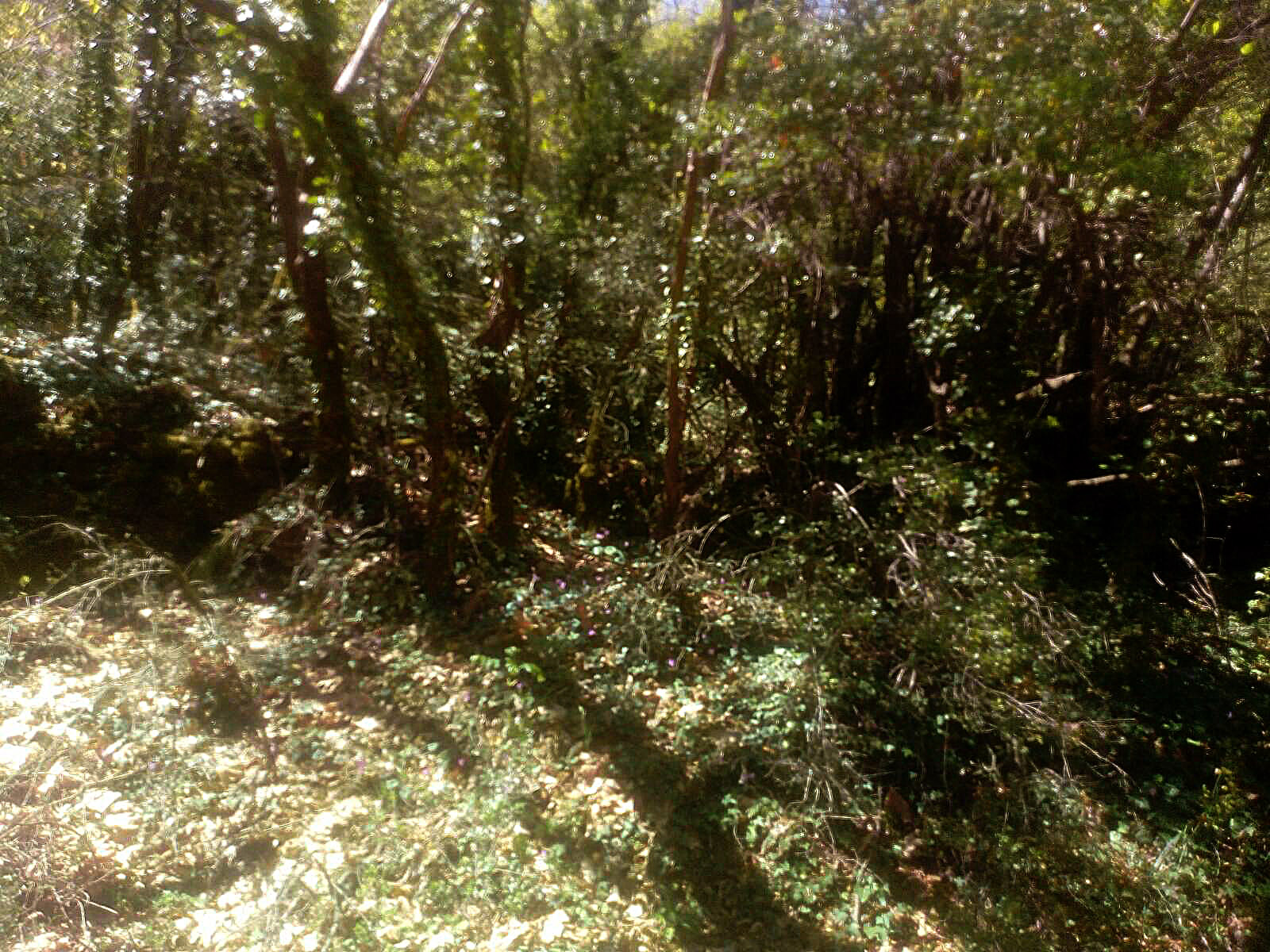 IMG-d524b550800f5ff7af1892518576bdae-V.jpg